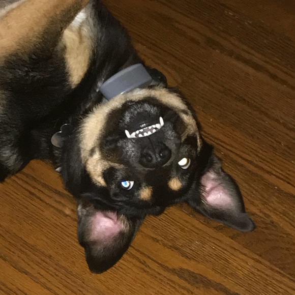 Meet your Posher, Kristi - Picture 1 of 1